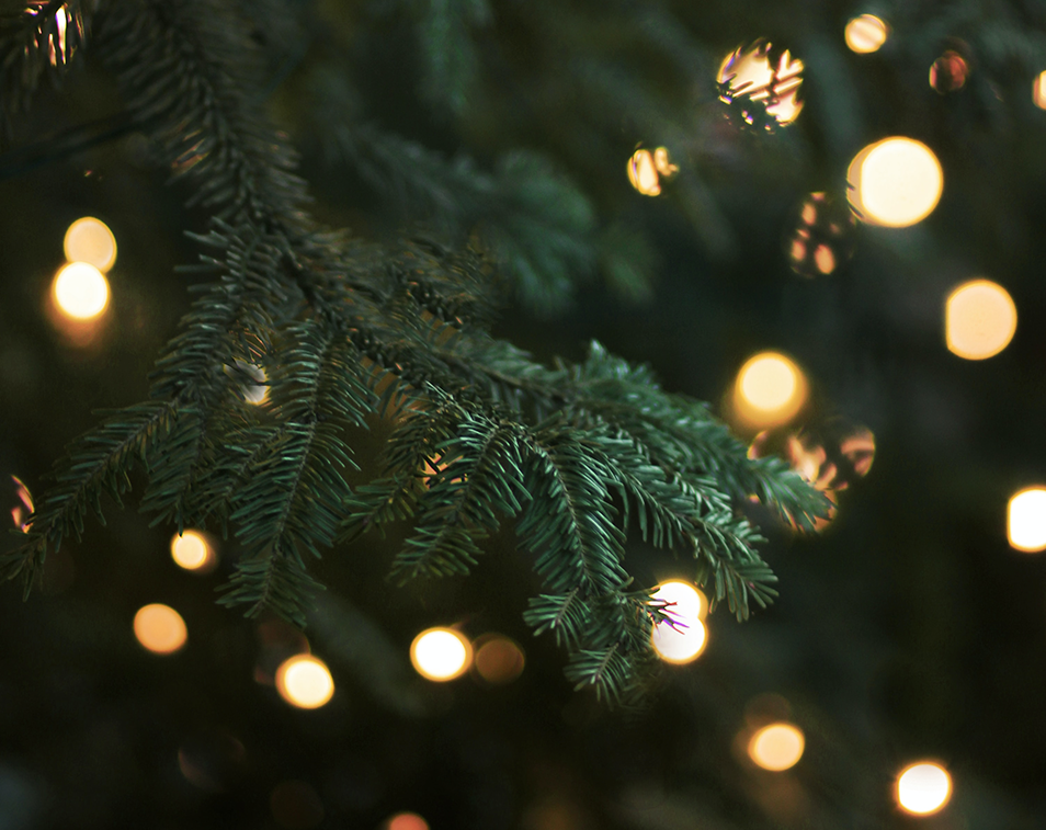 Accensione dell’albero di Natale